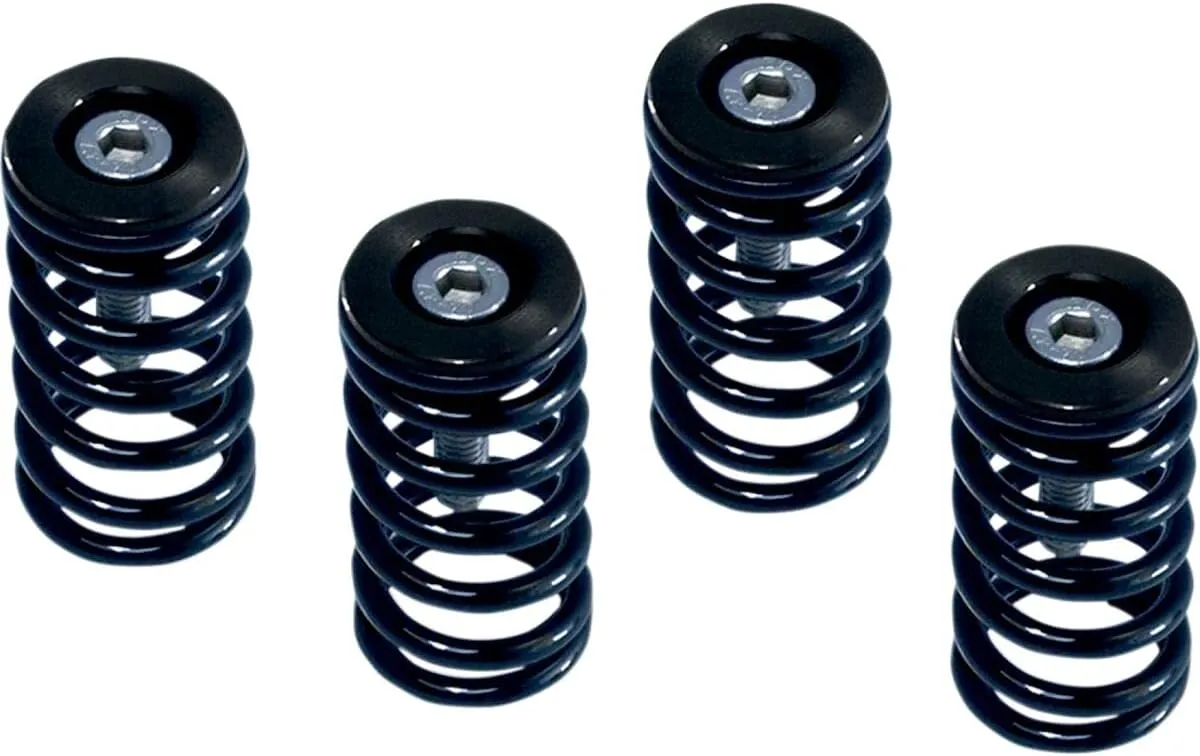 Barnett Ducati Dry Clutch Spring Kit (6-Piece) (Black)