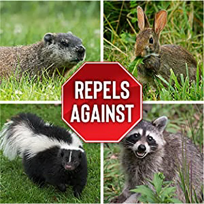 Bunny Barricades & Animal Stopper Spray Kit by Prime Retreat
