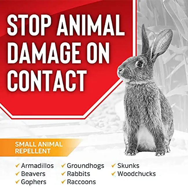 Bunny Barricades & Animal Stopper Spray Kit by Prime Retreat