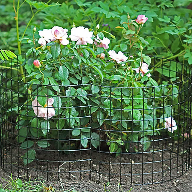 Bunny Barricades & Animal Stopper Spray Kit by Prime Retreat