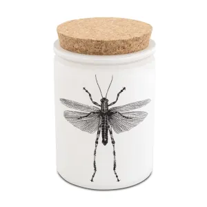Citronella Eucalyptus Candle