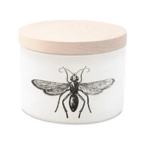 Citronella Grapefruit Candle by Skeem