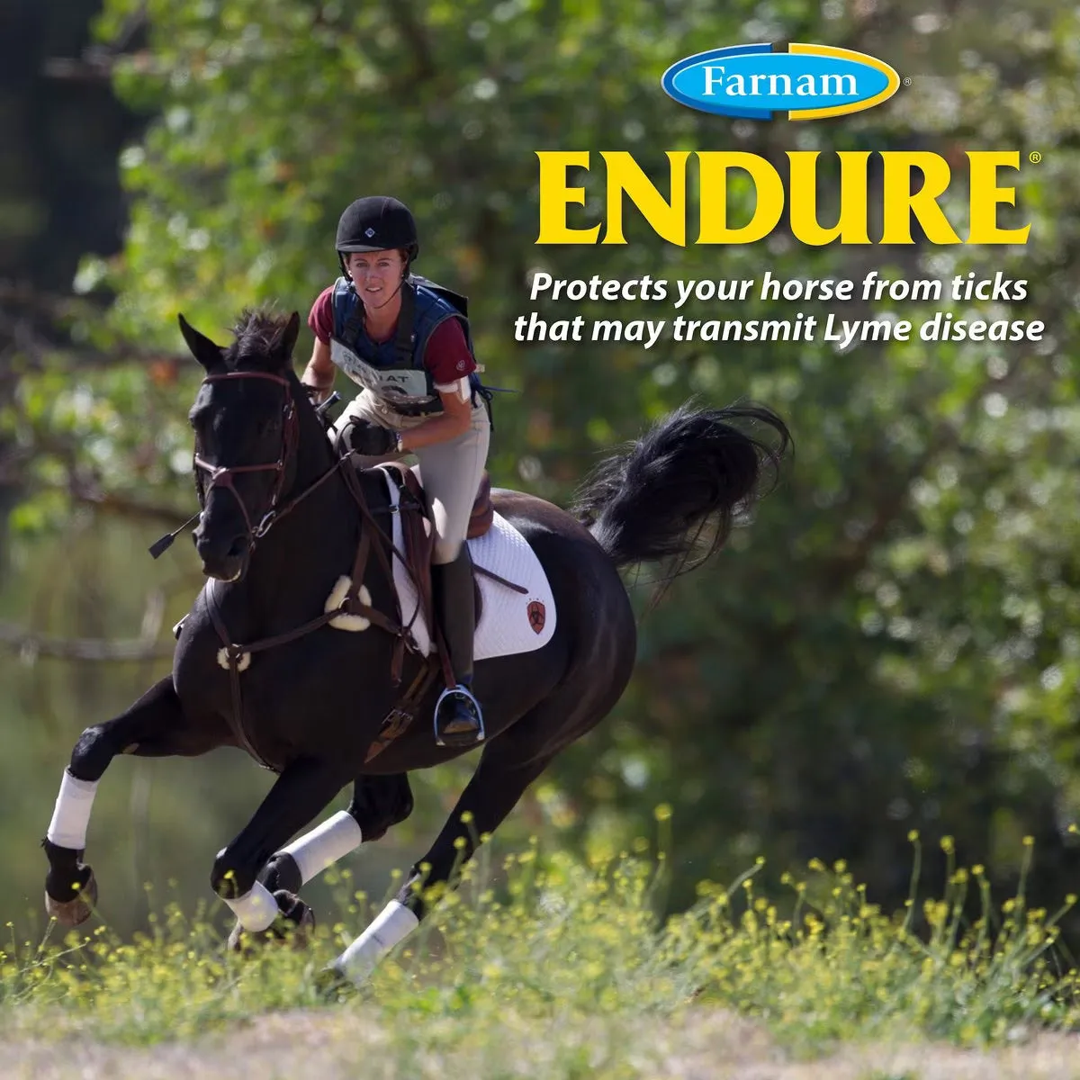 Endure Sweat-Resistant Fly Repellent for Horses - 1 Gallon