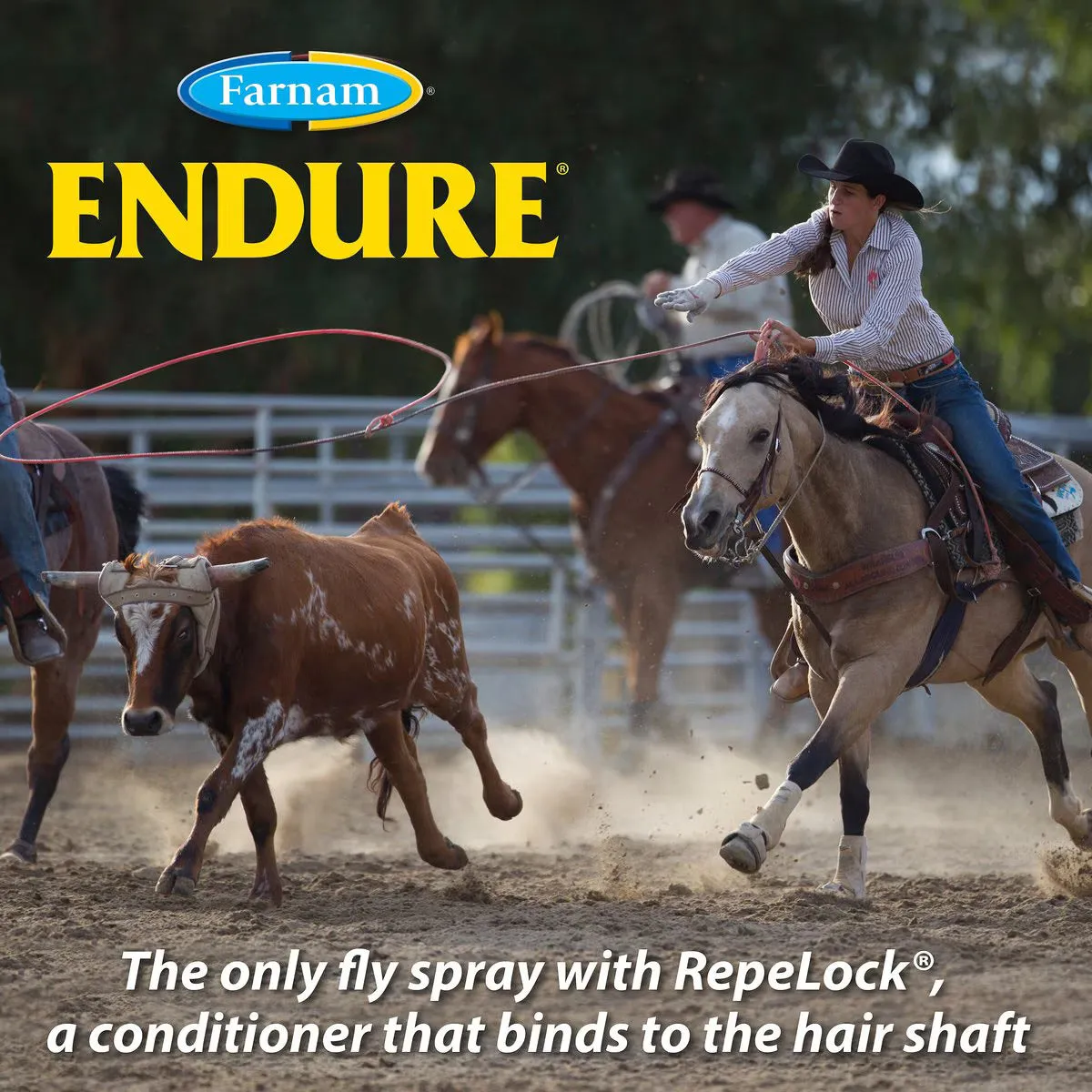 Endure Sweat-Resistant Fly Repellent for Horses - 1 Gallon