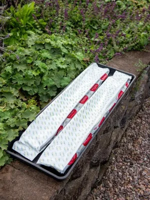 Gardener's Supply Company Berry Blend Coir Grow Bag, Set of 2, 39" L x 6" W x 4" H, No-Fuss Planting Grow Right in The Bag