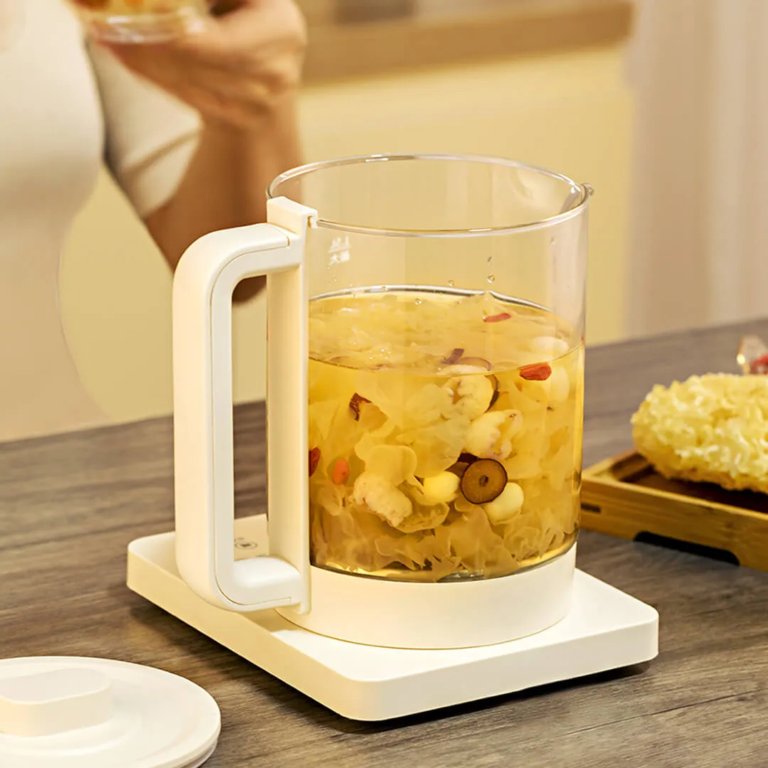 Glass electric kettle multifunction preserving health kettletea pot thermal flower teapot