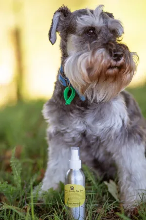 Itchy 'n Scratchy Natural Flea Repellent Spray 150ml