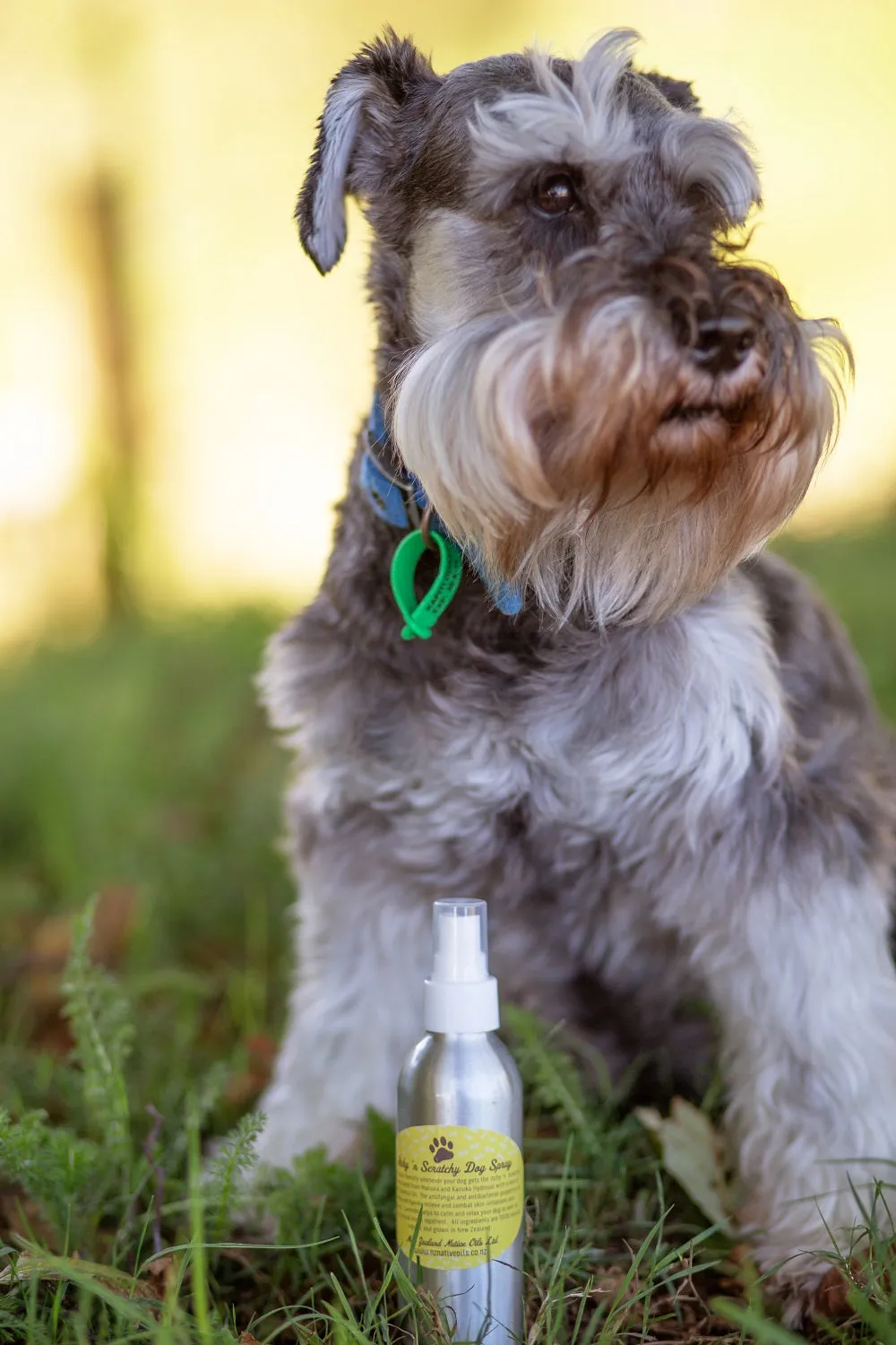 Itchy 'n Scratchy Natural Flea Repellent Spray 150ml