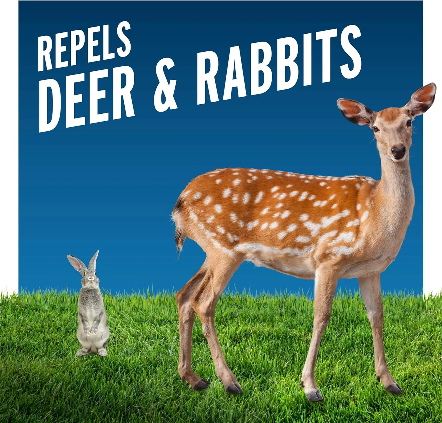 Liquid Fence Deer And Rabbit Repellent Ready-To-Use 1 Gallon, Apply Year-Round, 1 Gallon, 2 Pack