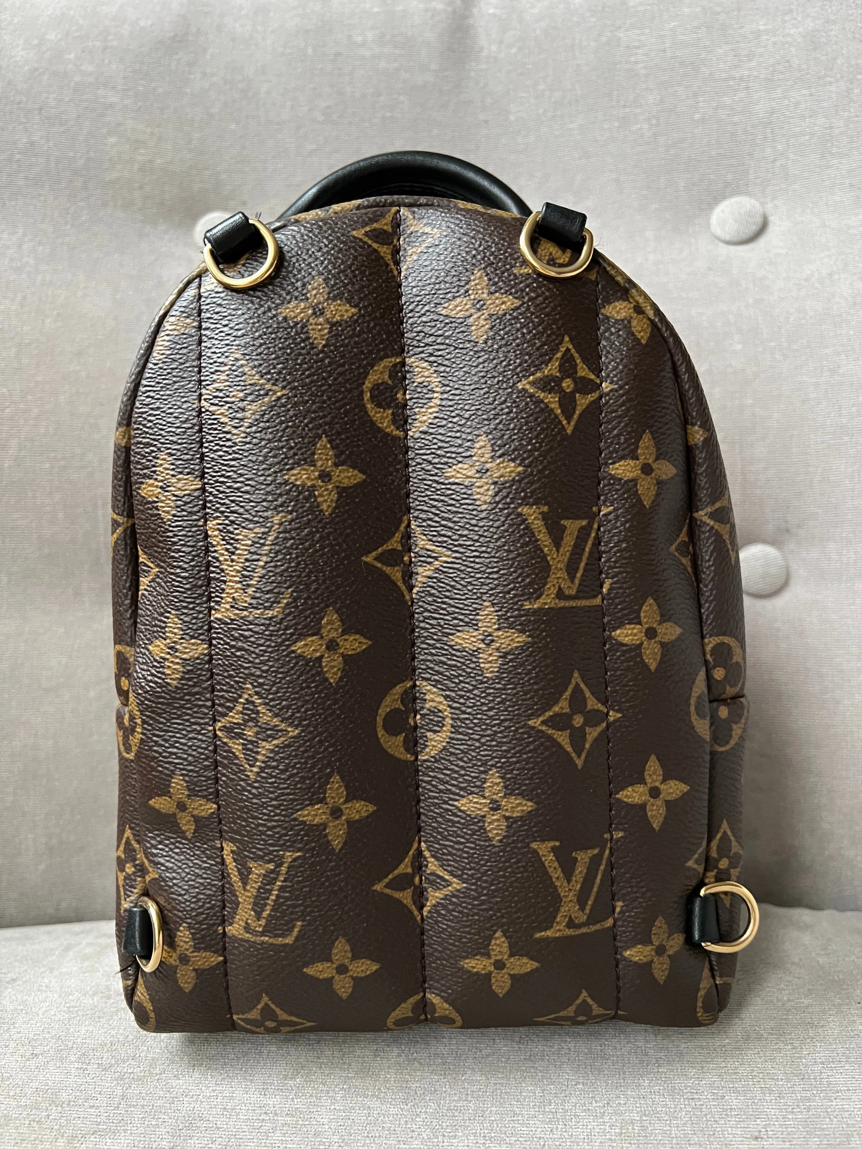 Louis Vuitton Palm Springs Mini Backpack - one strap (RRP £1,830)