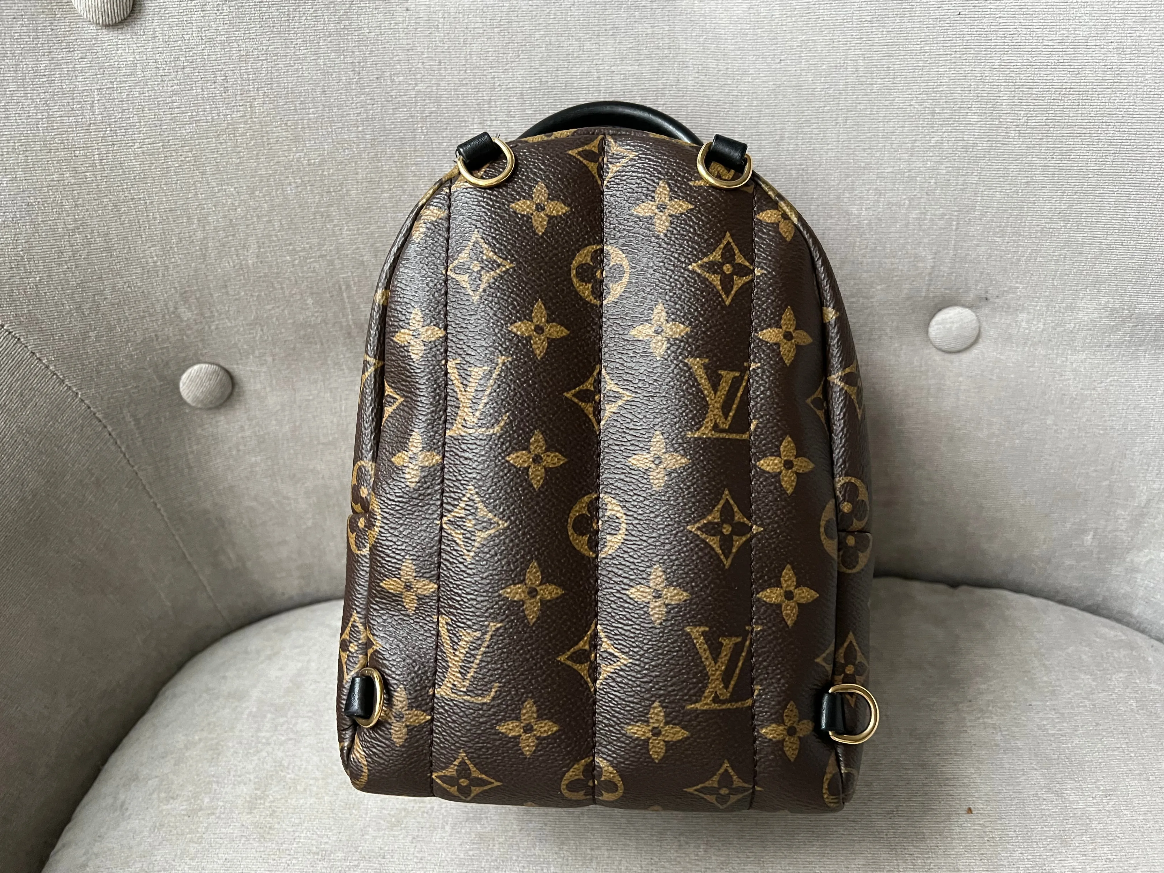 Louis Vuitton Palm Springs Mini Backpack - one strap (RRP £1,830)