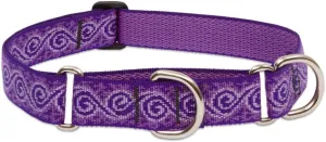 LupinePet Originals 1" Jelly Roll 19-27" Martingale Collar for Large Dogs
