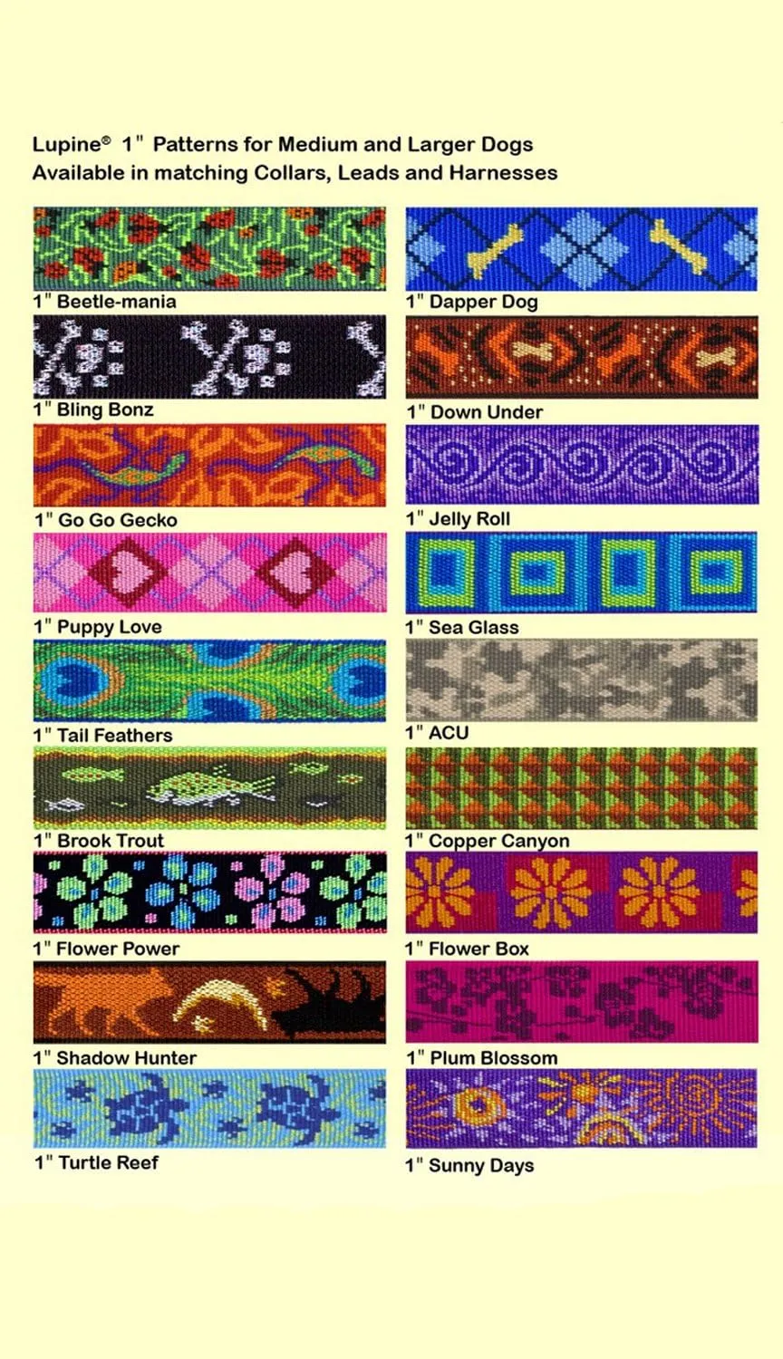 LupinePet Originals 1" Jelly Roll 19-27" Martingale Collar for Large Dogs