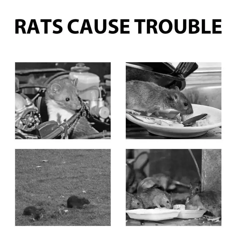 Mouse Repellent Spray For Household Gardening And Pests