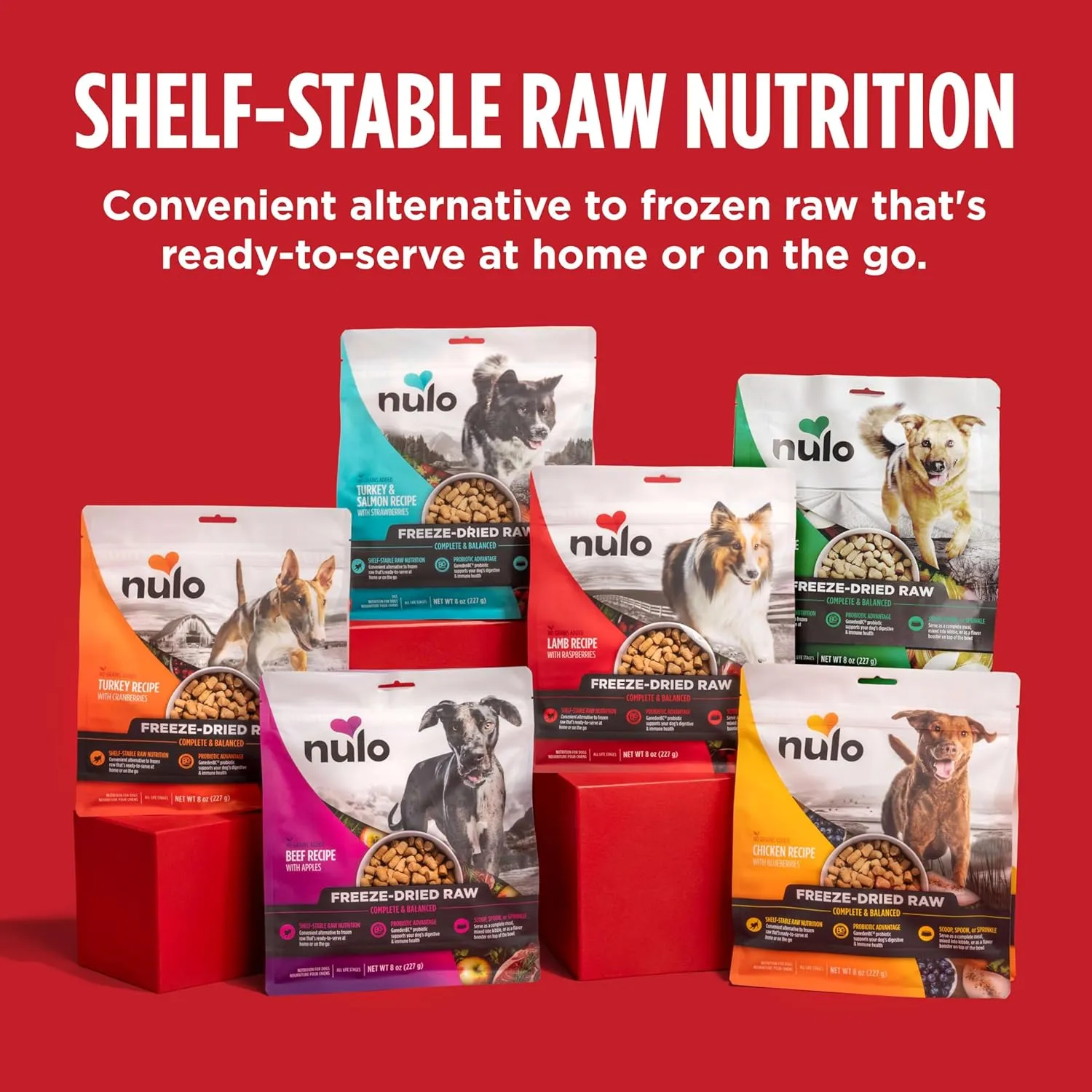 Nulo Freeze-Dried Raw Beef Recipe with Apples Complete and Balanced Dry Dog Food Kibble, 8 Ounce Bag