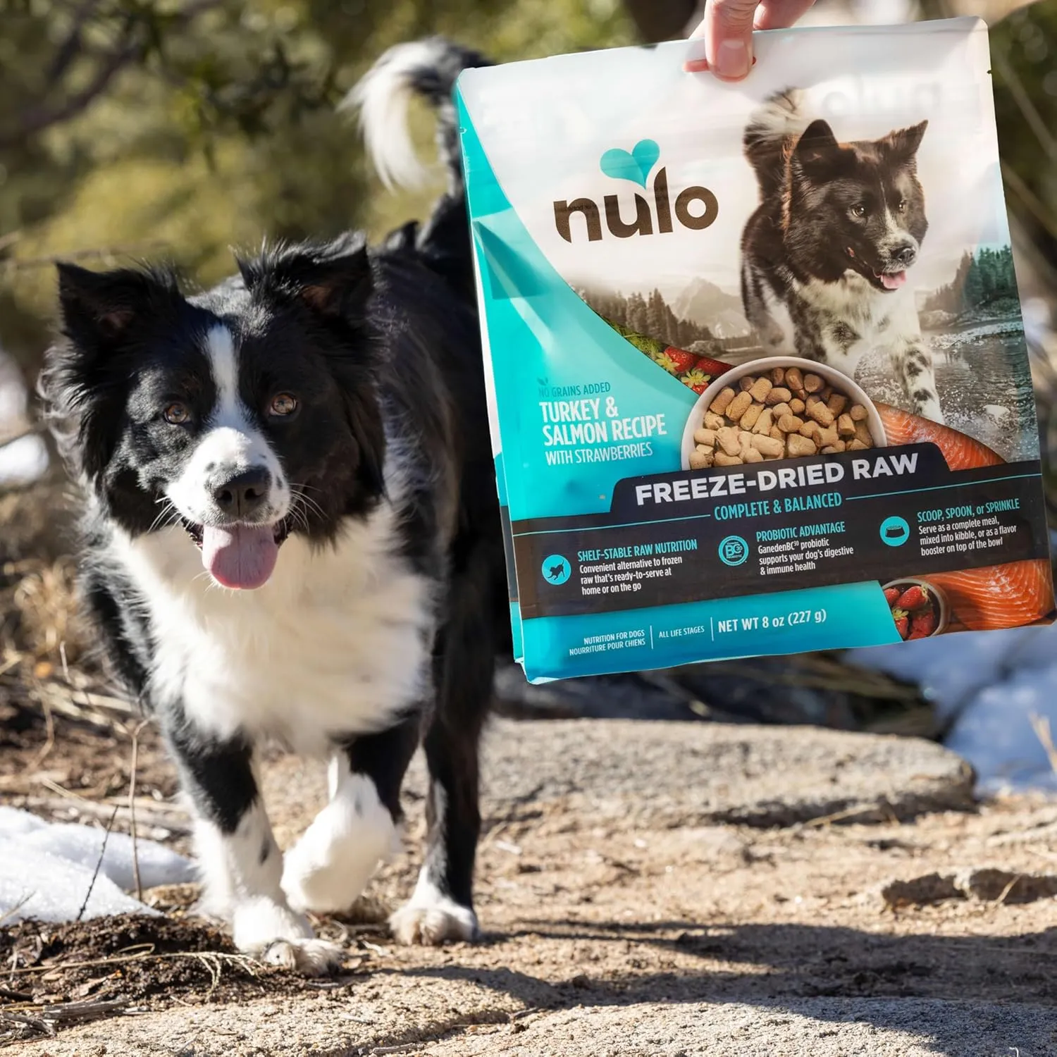 Nulo Freeze-Dried Raw Beef Recipe with Apples Complete and Balanced Dry Dog Food Kibble, 8 Ounce Bag