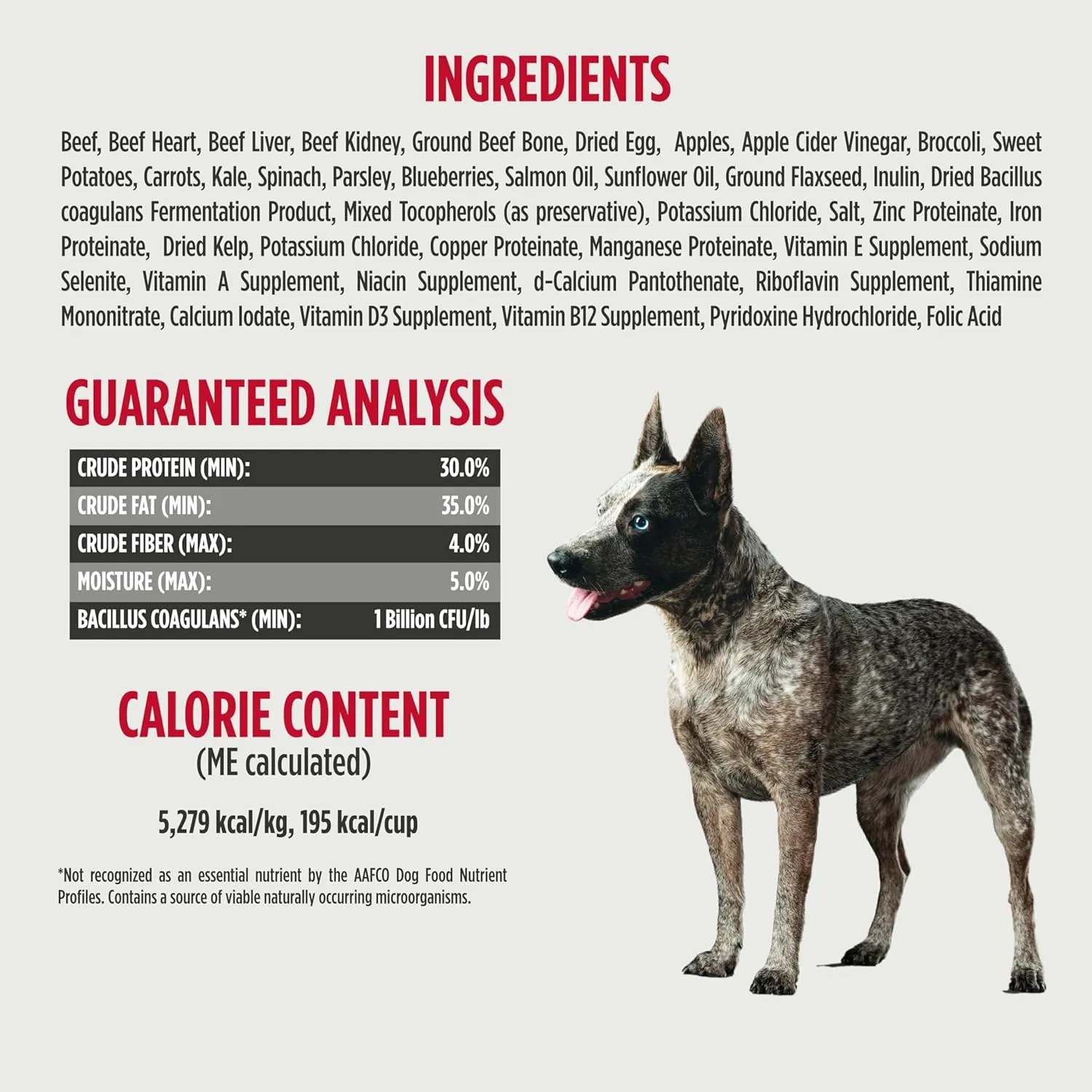 Nulo Freeze-Dried Raw Beef Recipe with Apples Complete and Balanced Dry Dog Food Kibble, 8 Ounce Bag