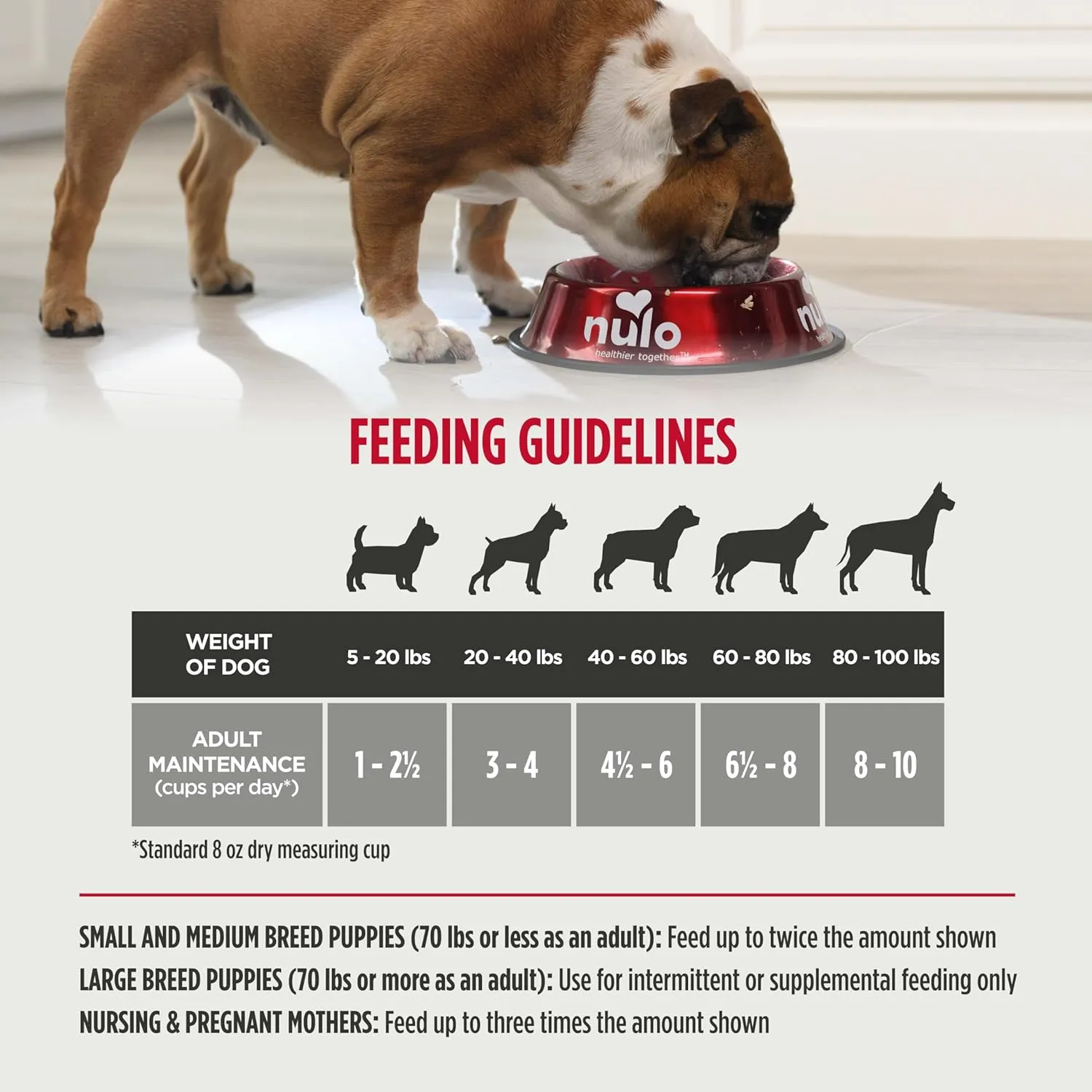 Nulo Freeze-Dried Raw Beef Recipe with Apples Complete and Balanced Dry Dog Food Kibble, 8 Ounce Bag