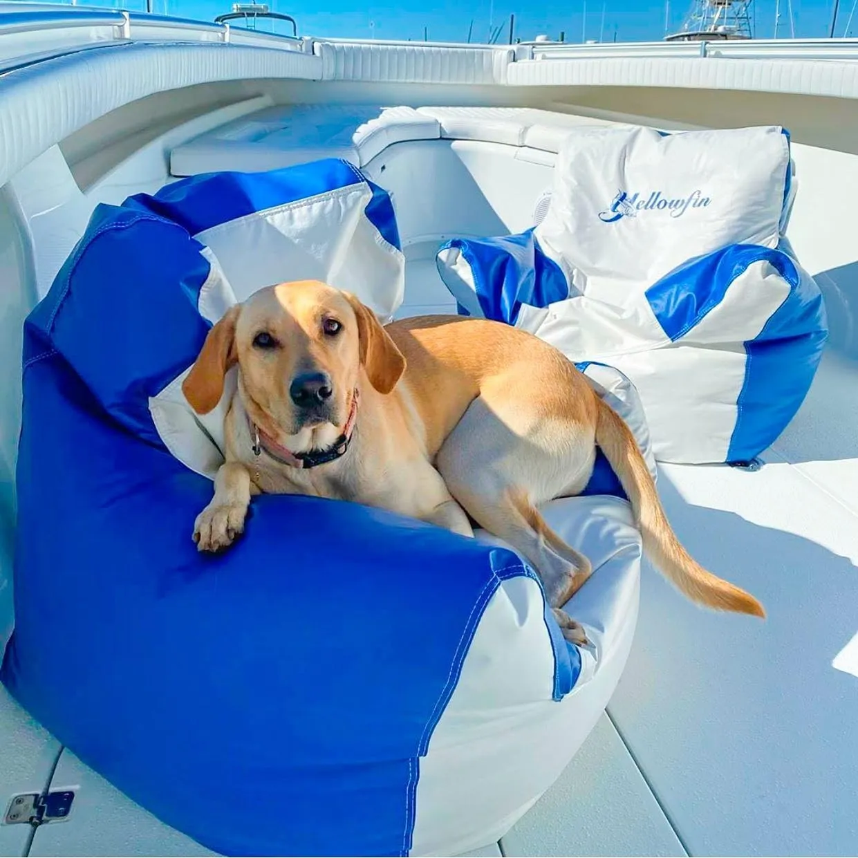 Ocean-Tamer Armchair Marine Beanbag, White (White-Gray, Medium)