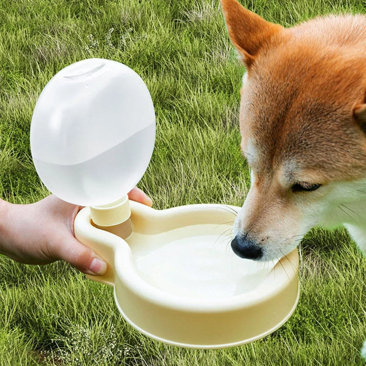 Portable Foldable Pet Water Cup Large Capacity Dog Bowl Puppy Travel Kettle
