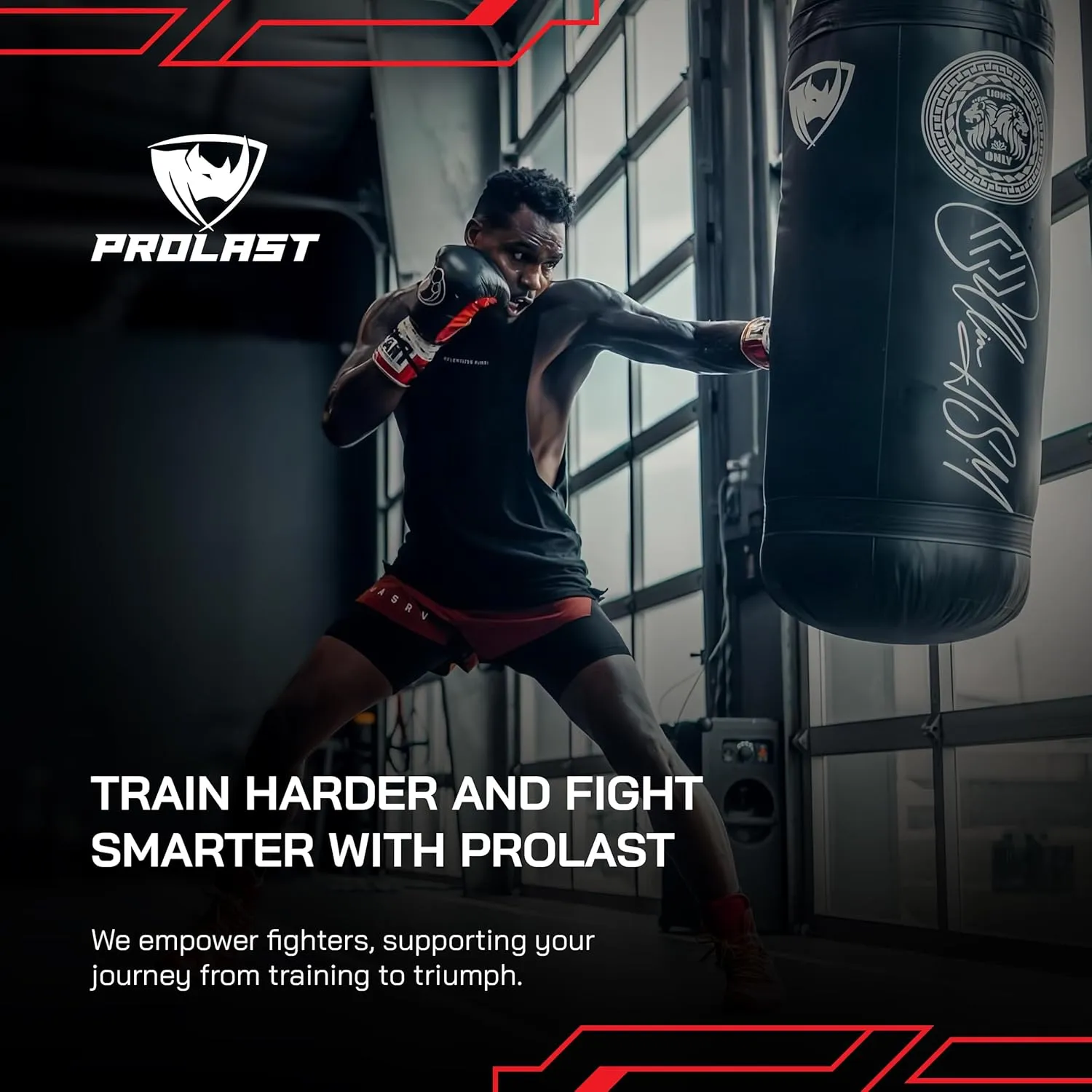 PROLAST Wrecking Ball Heavy Punching Bag UNFILLED Made in USA(New Edition)