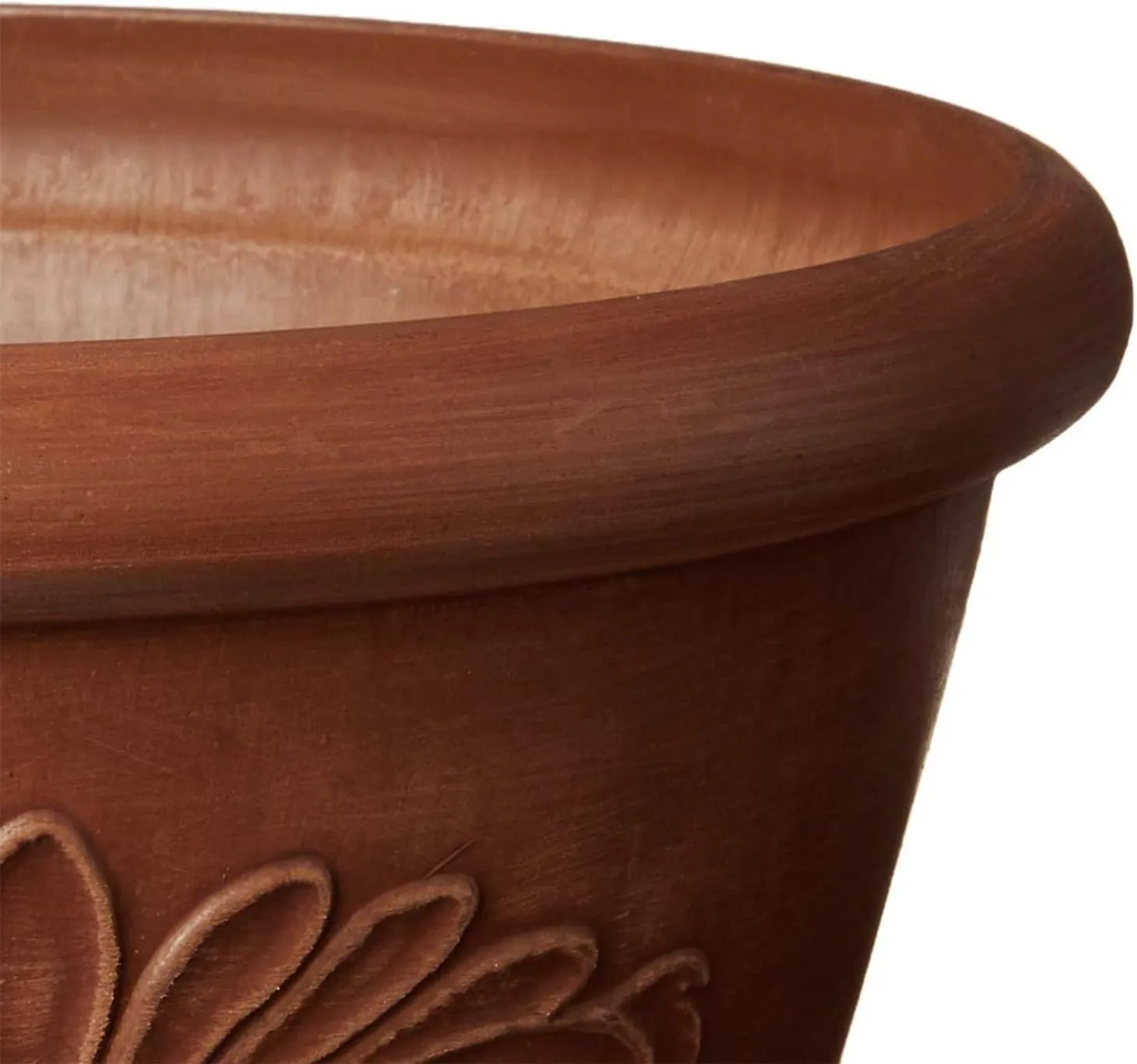 PSW Pot TA20TC Collection Shallow Bulb Pan Planter Dish Low Bowl for Succulents, Bonsai, Fairy Gardens, Herbs, 8-inch, Terra Cotta Color