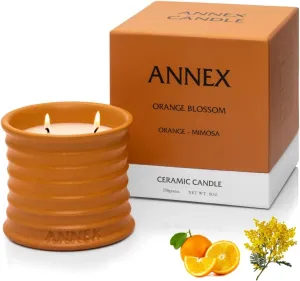Scented Luxury Candles in Handmade Ceramic Jars, Soy Wax | Orange Blossom – Orange & Mimosa, Large Candle | Non Toxic, 2 Wicks, Reusable Big Orange Jar | Natural Spring Aromatherapy for Women & Men