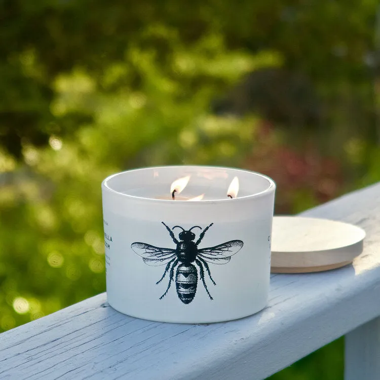 SD - Citronella Blossom Candle | Tri Wick