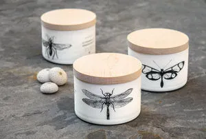 SD - Citronella Eucalyptus Candle | Tri Wick