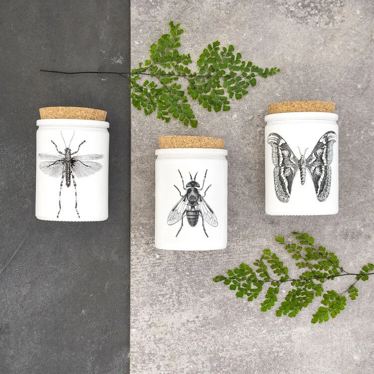 Skeem Design - Citronella Eucalyptus Candle
