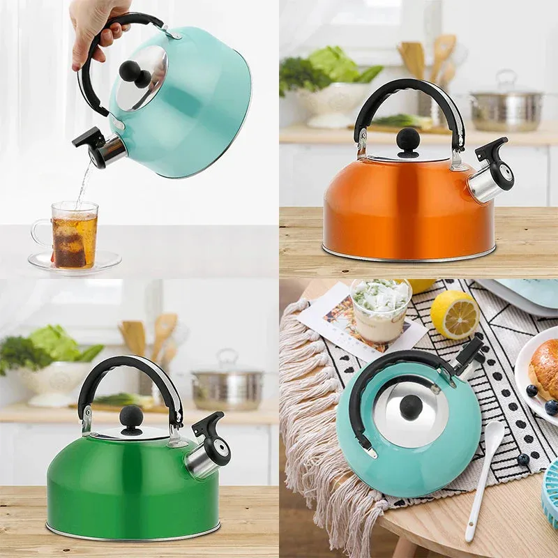 Stainless Steel Whistling Tea Kettle 3L