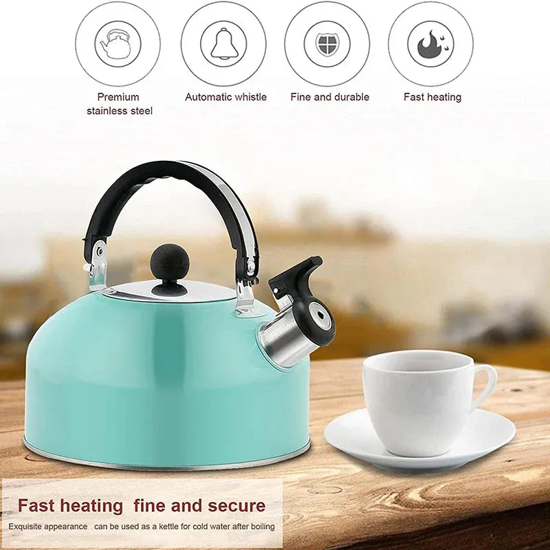 Stainless Steel Whistling Tea Kettle 3L