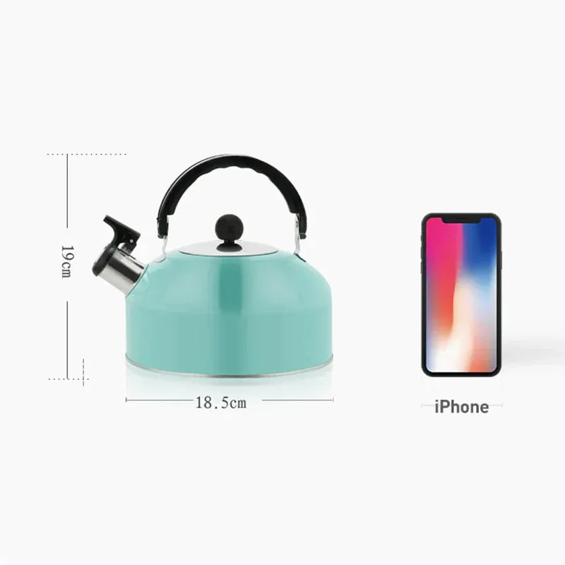 Stainless Steel Whistling Tea Kettle 3L